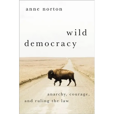 Wild Democracy: Anarchy, Courage, and Ruling the Law