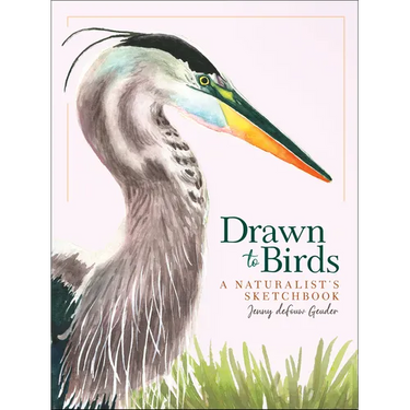 Drawn to Birds: A Naturalist's Sketchbook
