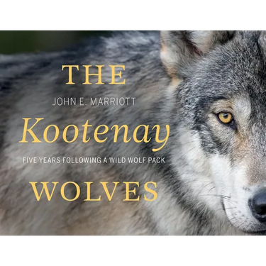 The Kootenay Wolves: Five Years Following a Wild Wolf Pack