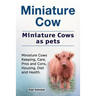 Miniature Cow. Miniature Cows as pets. Miniature Cows Keeping, Care, Pros and Cons, Housing, Diet and Health.