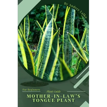 Mother-in-law's Tongue Plant: Plant Guide