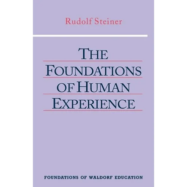The Foundations of Human Experience: (Cw 293 & 66) Volume 1