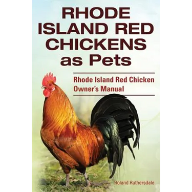 Rhode Island Red Chickens as Pets. Rhode Island Red Chicken Owner's Manual