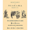 History of Niagara County, N.Y., 1878