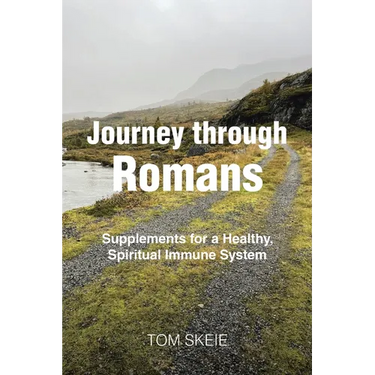Journey through Romans: Supplements for a Healthy, Spiritual Immune System