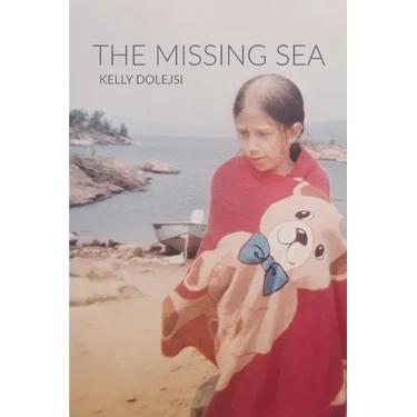 The Missing Sea