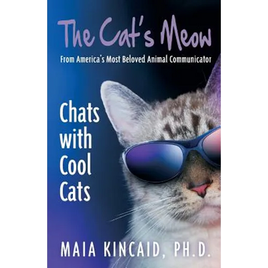 The Cat's Meow: Chats with Cool Cats!
