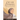 Dear Damsel: A detailed guide for adolescent muslim girls