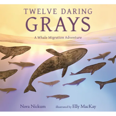 Twelve Daring Grays: A Whale Migration Adventure