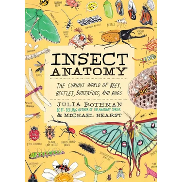 Insect Anatomy: The Curious World of Bees, Beetles, Butterflies, and Bugs