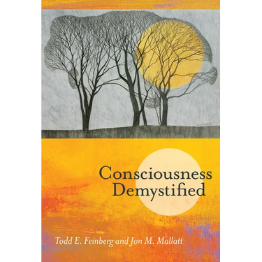 Consciousness Demystified