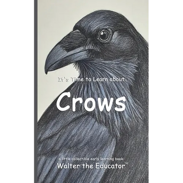 It's Time to Learn about Crows