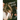 Choice Cuts: Disposable Camera Archive 2015-2023