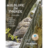 Wildlife In Parker: Colorado