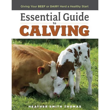 Essential Guide to Calving: Giving Your Beef or Dairy Herd a Healthy Start