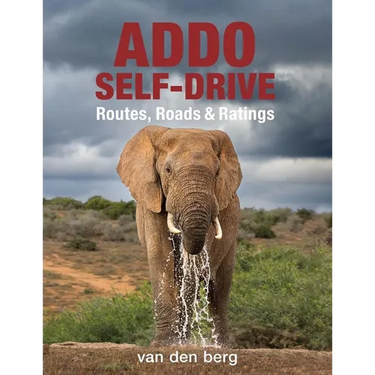 Addo Self-Drive: Routes, Roads & Ratings