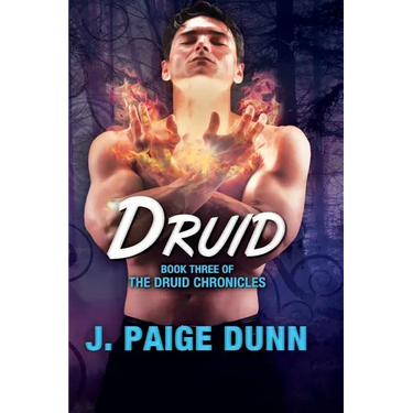 Druid: Book Three of the Druid Chronicles