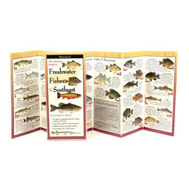 Freshwater Fishes of the Southeast