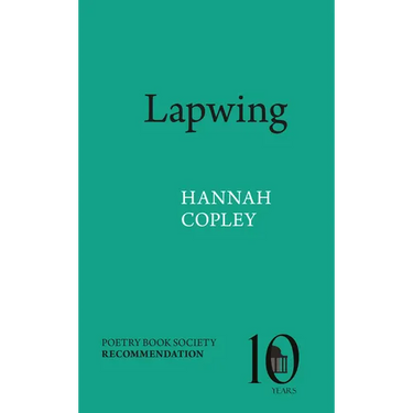 Lapwing