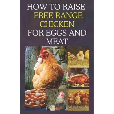 How to Raise Free Range Chicken For Eggs and Meat: Free Range Chicken Farmin
