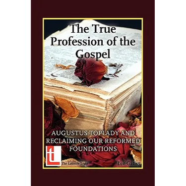 The True Profession of the Gospel