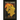 Tales of the Mirrors: Book 1