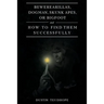 Bewerearillas, Dogman, Skunk Apes, or Bigfoot and How to Find Them Successfully