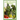 Low Oxlade Recipes: The Incredible Guide On Low Oxalate Diets And Recipes