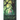 Rootbound