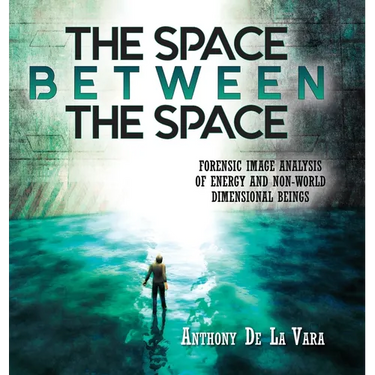The Space Between the Space: Forensic image analysis of energy and non-World dimensional beings