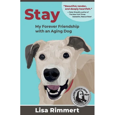 Stay