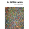 As light into water