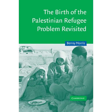 The Birth of the Palestinian Refugee Problem Revisited