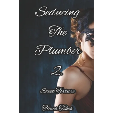 Seducing the Plumber 2: Sweet Torture: A Short Erotic Story (Straight)