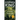 The Long Walk