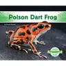 Poison Dart Frog