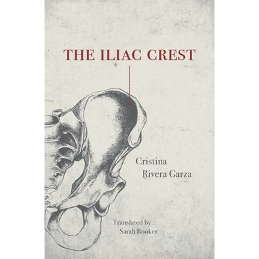 The Iliac Crest