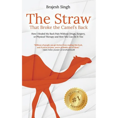 The Straw That Broke the Camel's Back: How I Healed My Back Pain Without Drugs, Surgery, or Physical Therapy and How You Can Do It Too