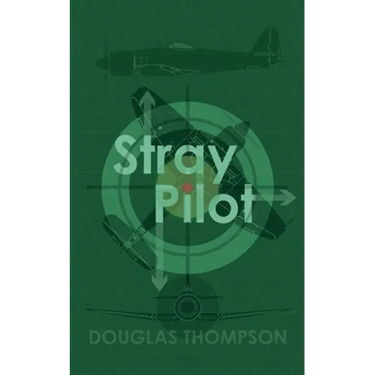 Stray Pilot