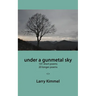 under a gunmetal sky: 101 short poems 20 longer poems