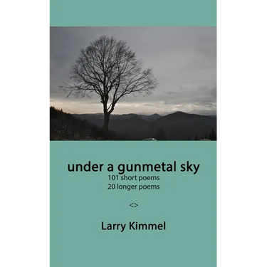 under a gunmetal sky: 101 short poems 20 longer poems