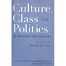 Culture, Class, and Politics in Modern Appalachia: Essays in Honor of Ronald L. Lewis