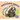 Raccoon Dogs