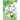 A Galaxy Next Door 6