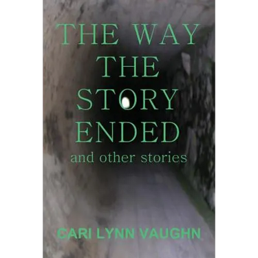 The Way The Story Ended: And other stories