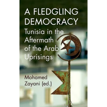A Fledgling Democracy: Tunisia in the Aftermath of the Arab Uprisings