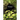 Void