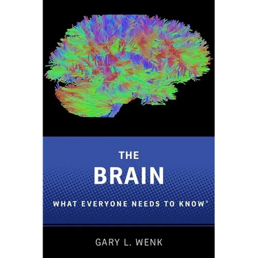 Brain Wentk P