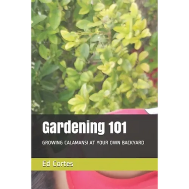 Gardening 101: Growing Calamansi at Your Own Backyard