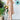 66f1944a-6745-407a-9e52-42609be4b65b-Max